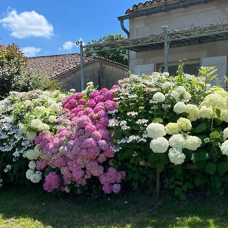 Le Petit Usar Apartment Loubens (Gironde)