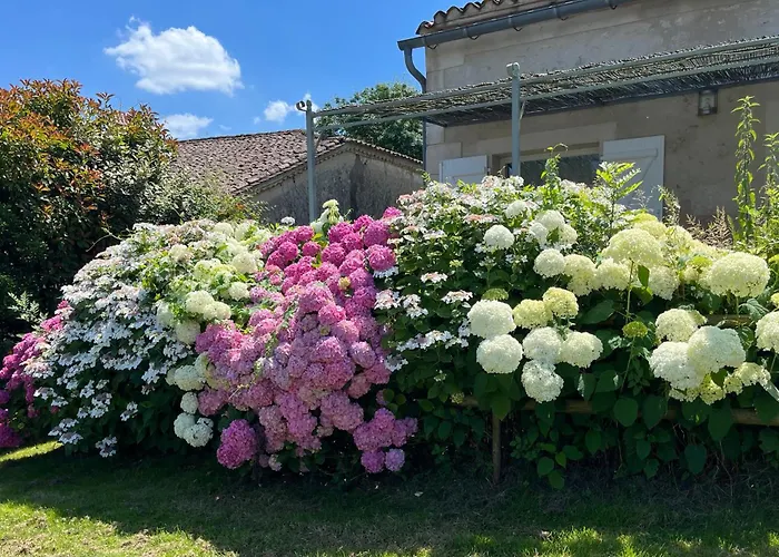 Le Petit Usar Lejlighed Loubens (Gironde)